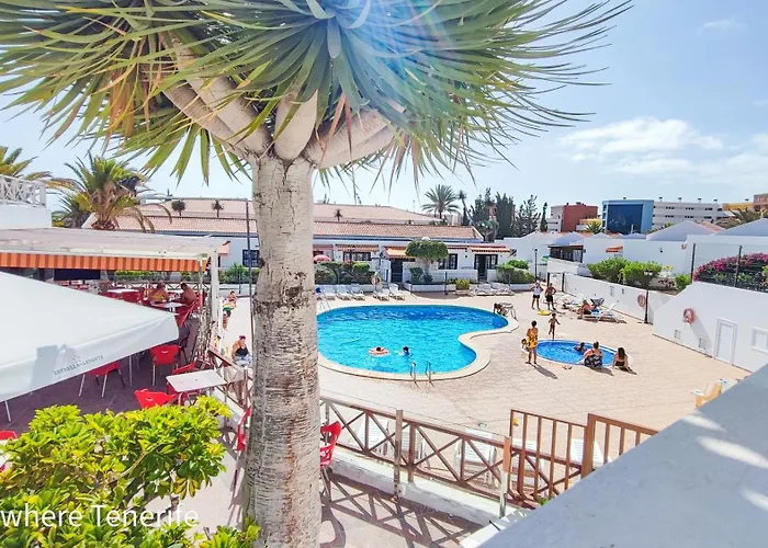 Appartamento Primavera By The